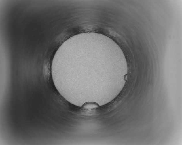 X0000100920768200807221116