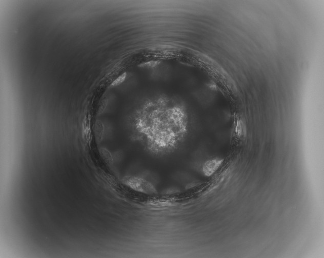 X0000100920771200807221115