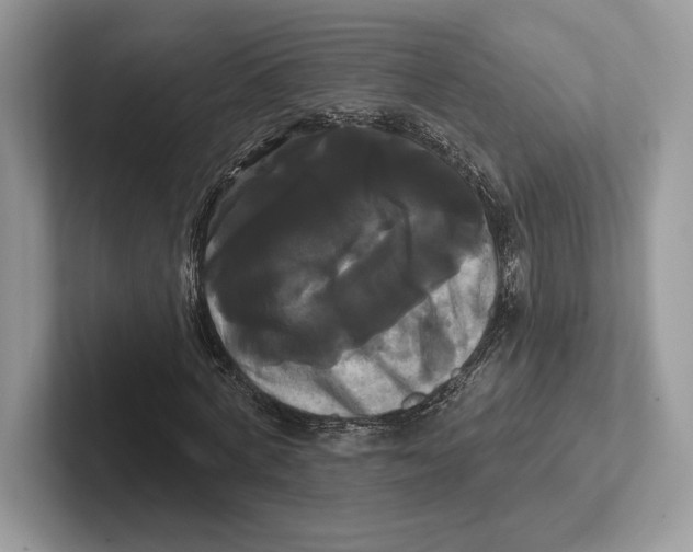 X0000100920772200807221115