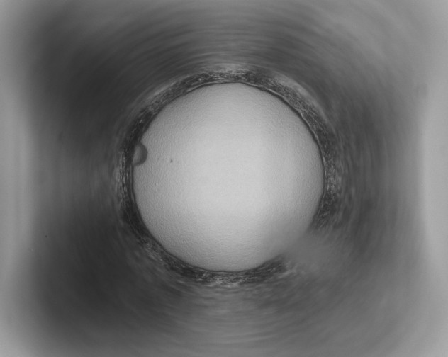 X0000100920773200807221115
