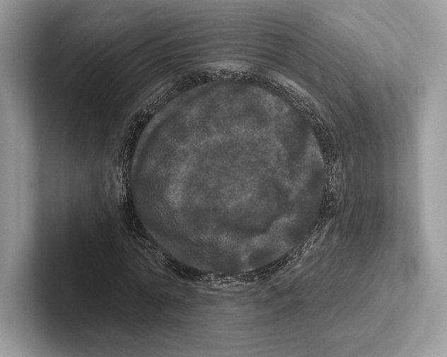 X0000100920774200807221115