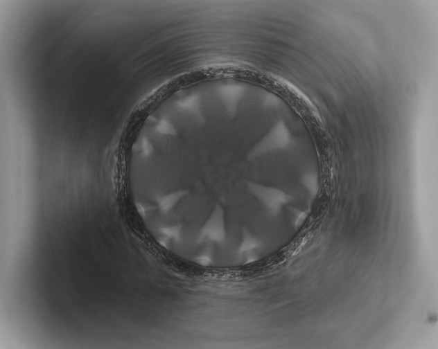 X0000100920775200807221115
