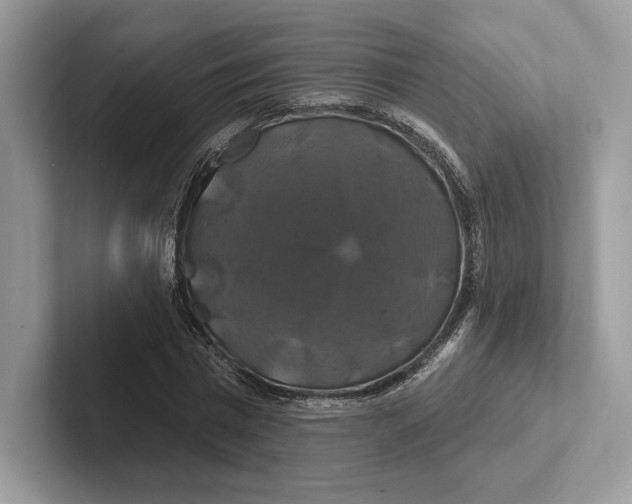 X0000100920777200807221115