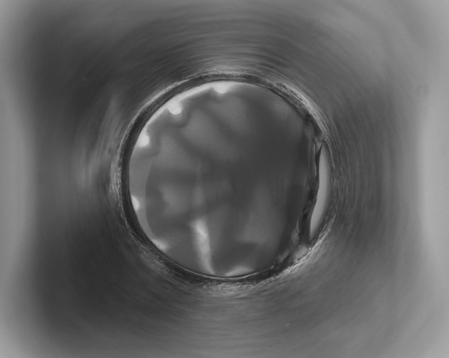 X0000100920779200807221115