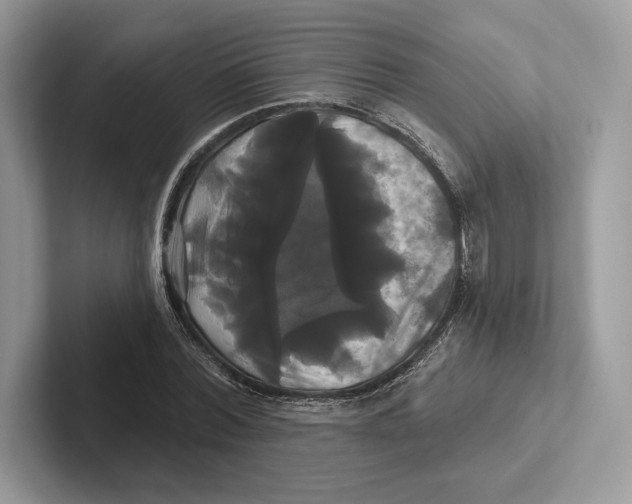 X0000100920780200807221115