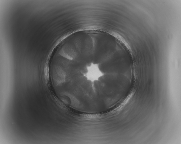 X0000100920781200807221115
