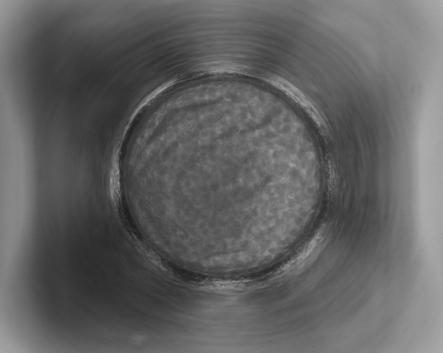 X0000100920782200807221115