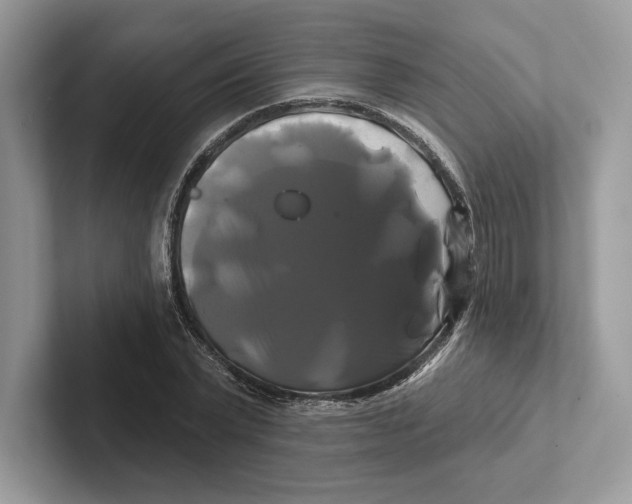 X0000100920783200807221115