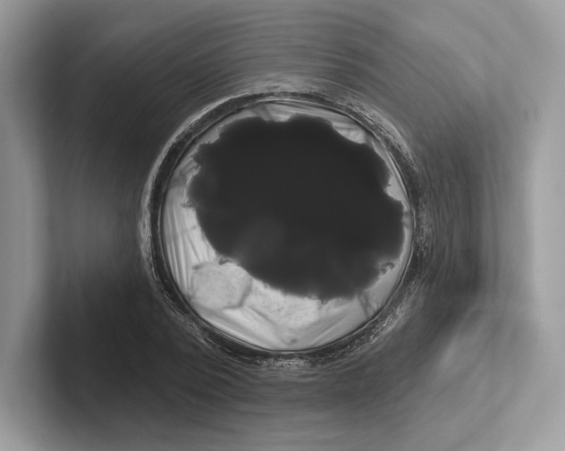 X0000100920784200807221115