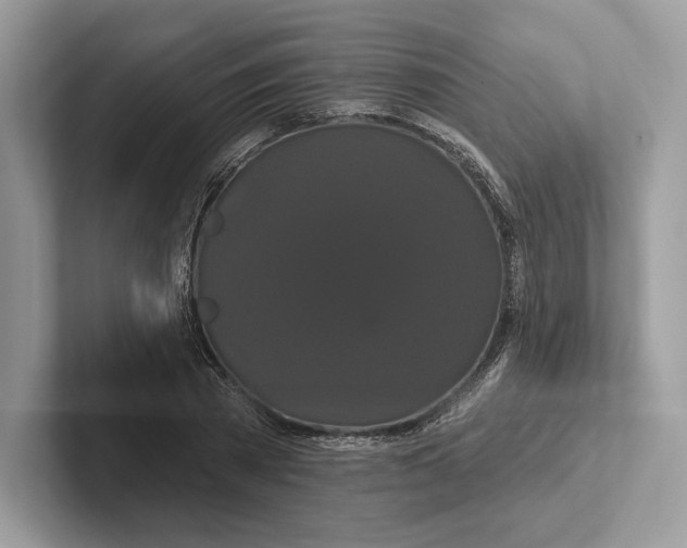 X0000100920785200807221115