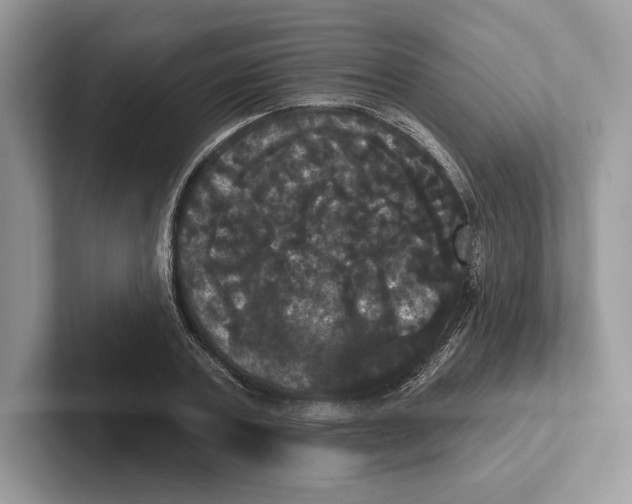 X0000100920787200807221115