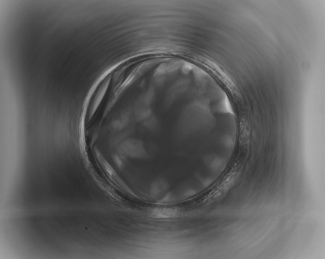 X0000100920788200807221115