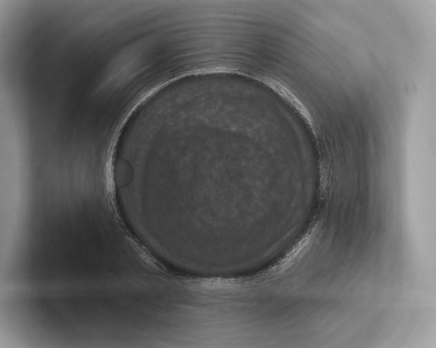 X0000100920789200807221115