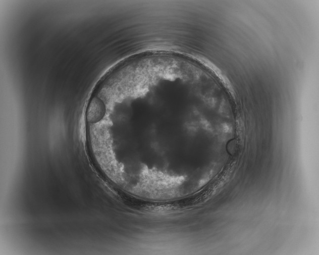 X0000100920791200807221115