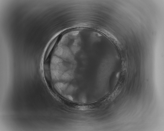 X0000100920792200807221115