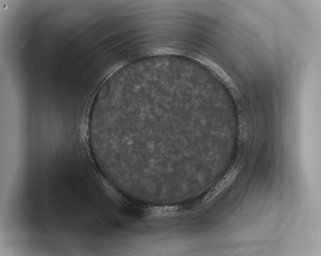 X0000100920793200807221115
