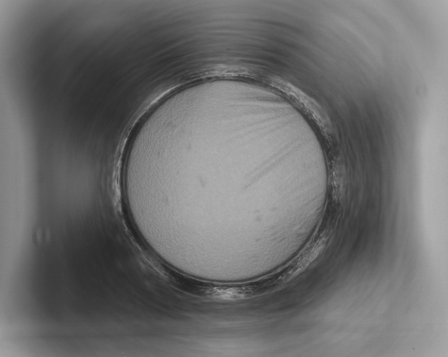 X0000100920794200807221115