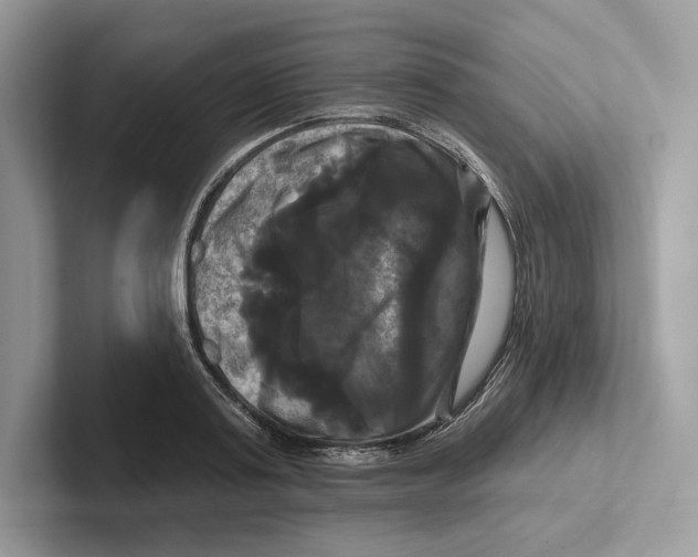X0000100920795200807221115