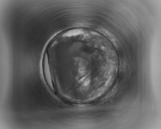 X0000100920796200807221115