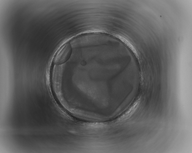 X0000100920797200807221115