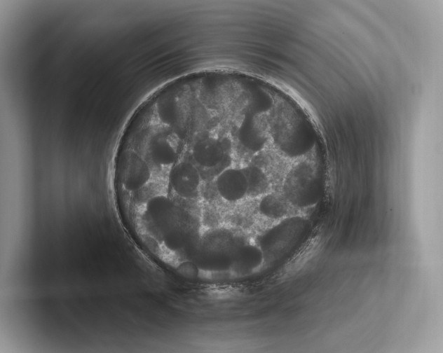 X0000100920799200807221115