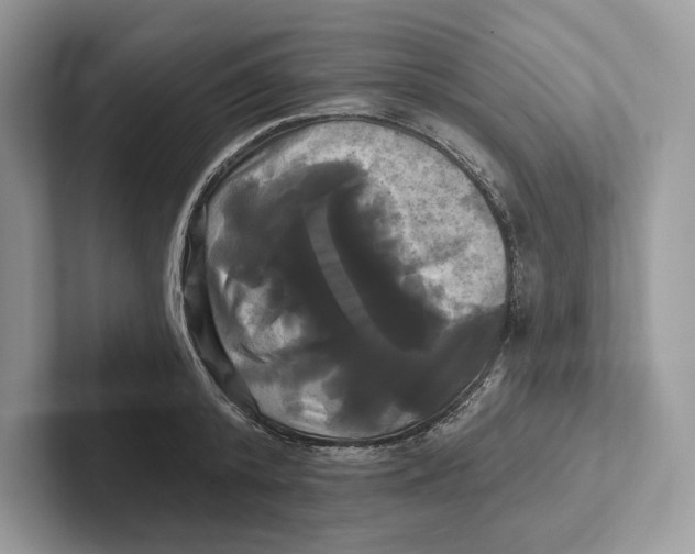 X0000100920800200807221115