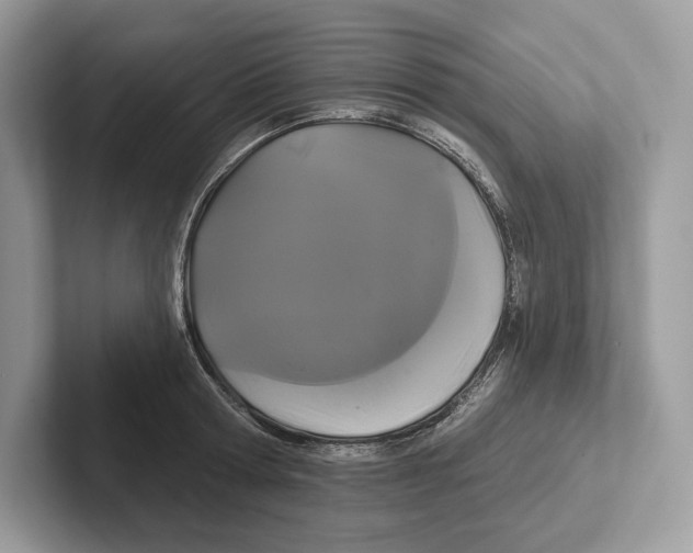 X0000100920802200807221114