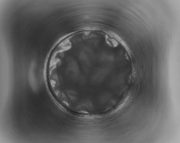 X0000100920803200807221114