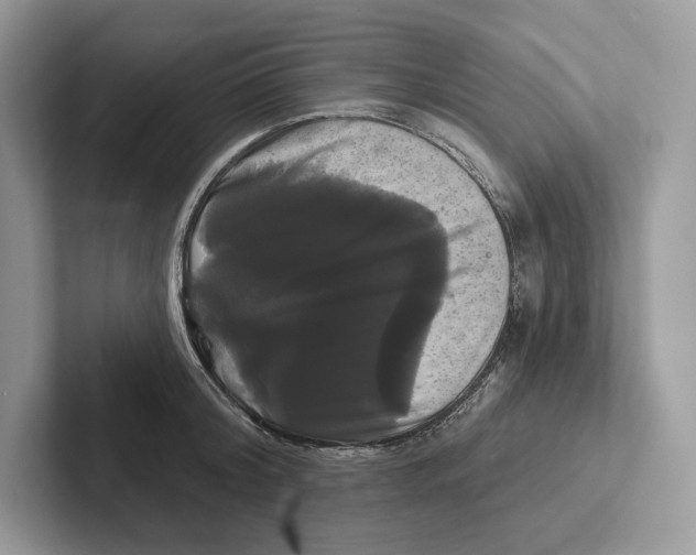 X0000100920804200807221114