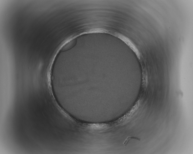 X0000100920805200807221114