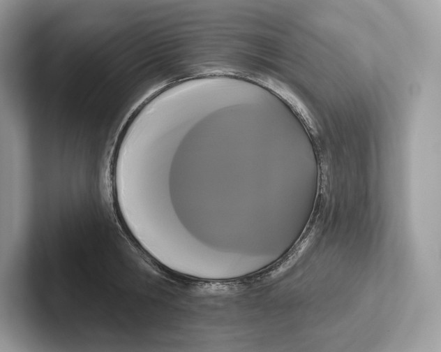 X0000100920806200807221114