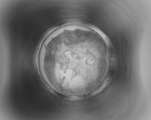 X0000100920807200807221114