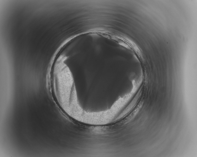 X0000100920808200807221114