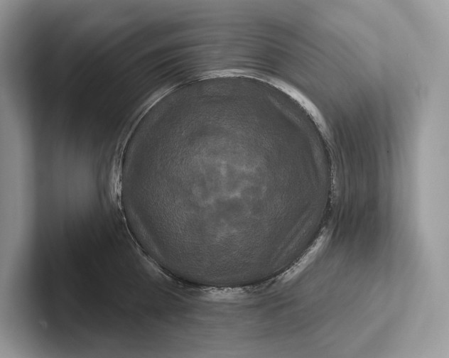 X0000100920809200807221114
