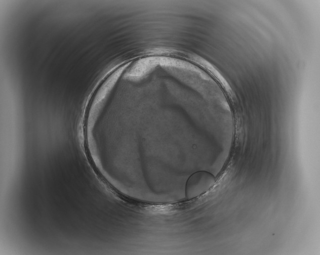 X0000100920810200807221114