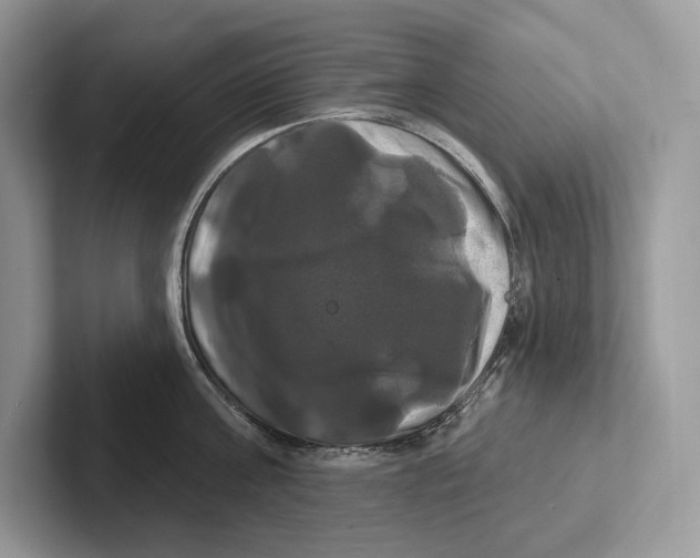 X0000100920811200807221114