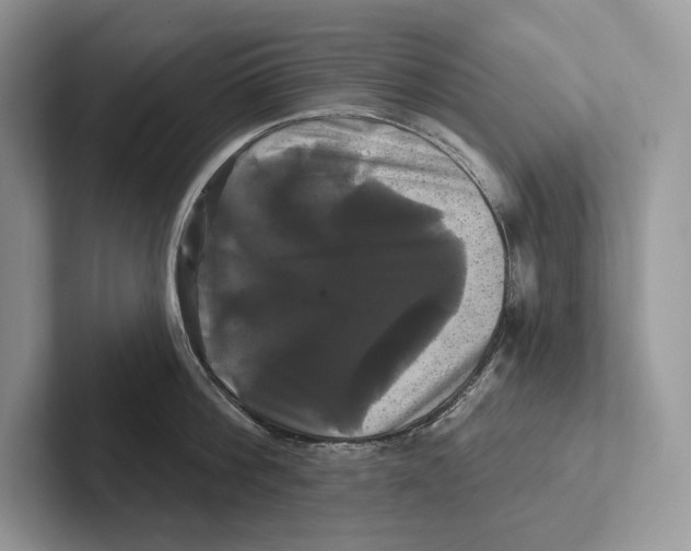 X0000100920812200807221114