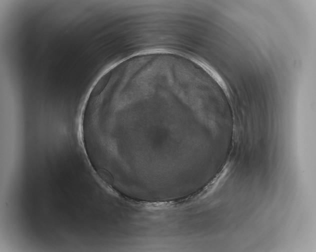 X0000100920813200807221114