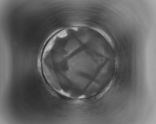 X0000100920814200807221114
