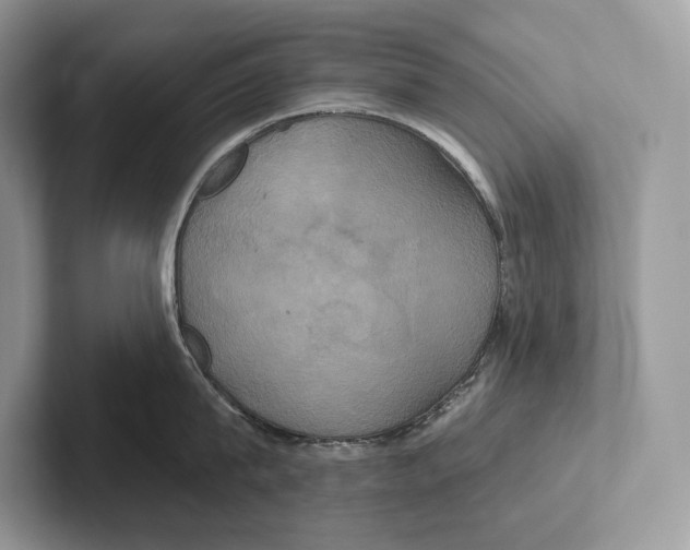 X0000100920815200807221114