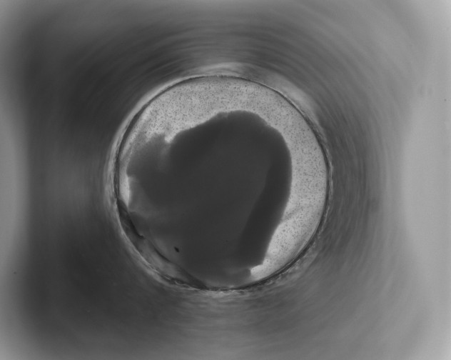 X0000100920816200807221114