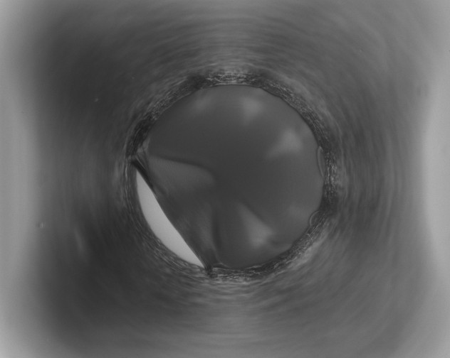 X0000100920818200807221114