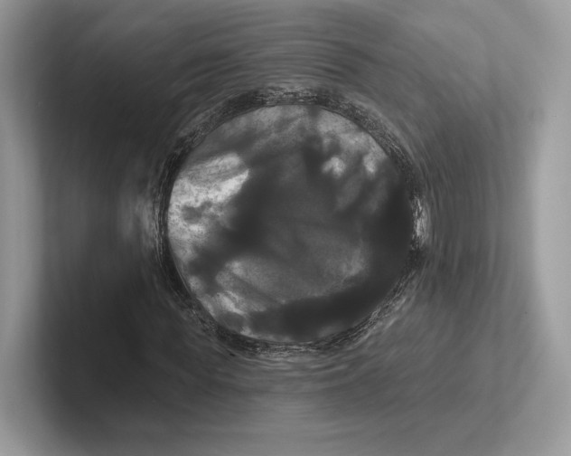 X0000100920819200807221114