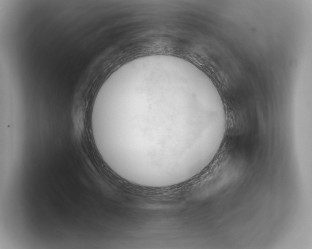 X0000100920820200807221114