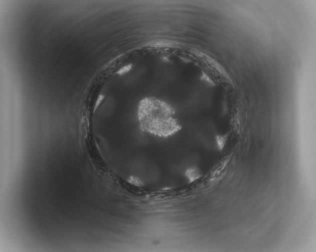 X0000100920821200807221114