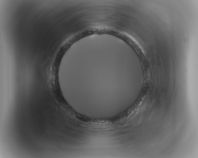 X0000100920823200807221114