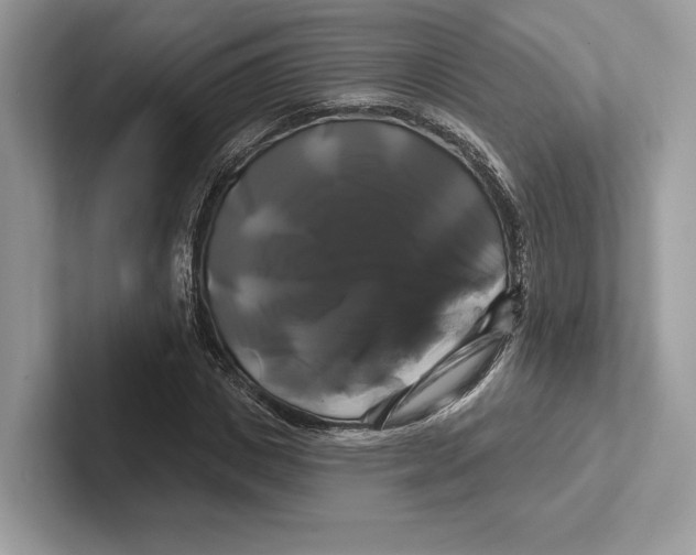 X0000100920825200807221114