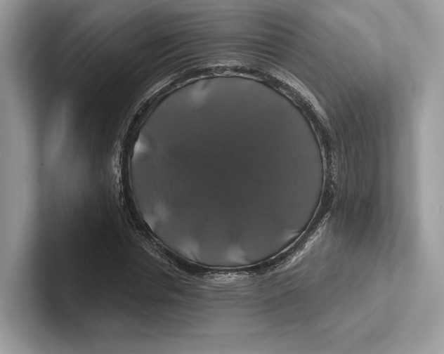 X0000100920826200807221114