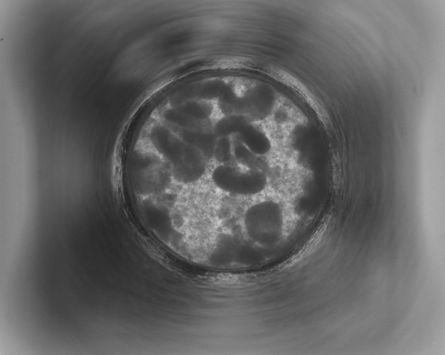 X0000100920827200807221114