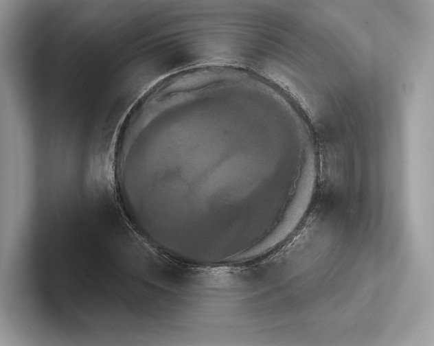 X0000100920828200807221114